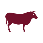 the foodshop beef meat icon