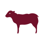 the foodshop lamb meat icon