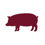 the foodshop pork meat icon