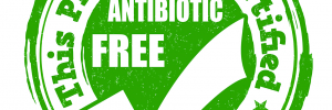 Why should you choose antibiotics free meat?